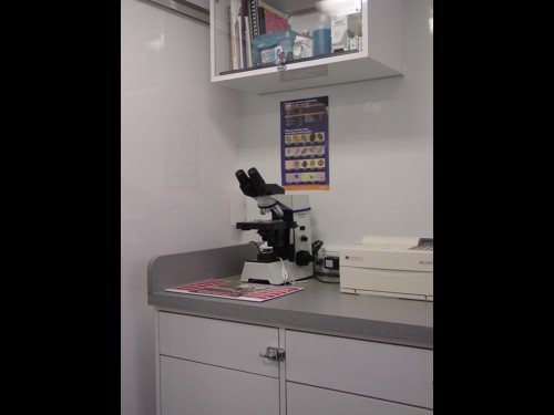 Tour of Healthy Pet Mobile Vet's mobile veterinary clinic.